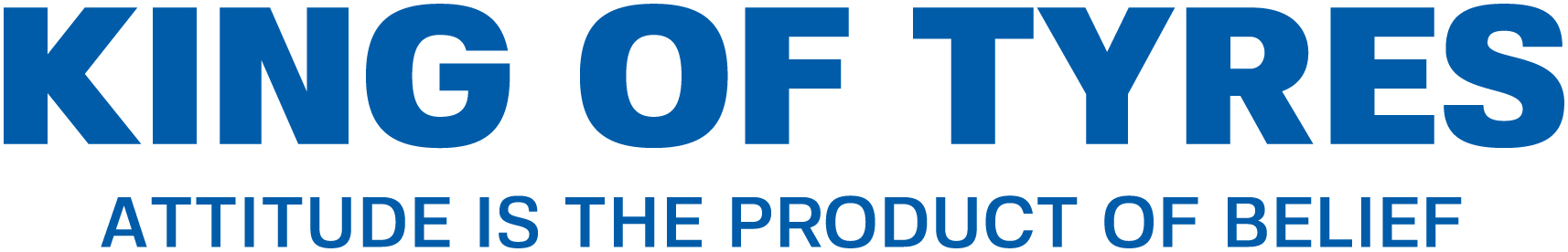 Footer logo leao-tyres